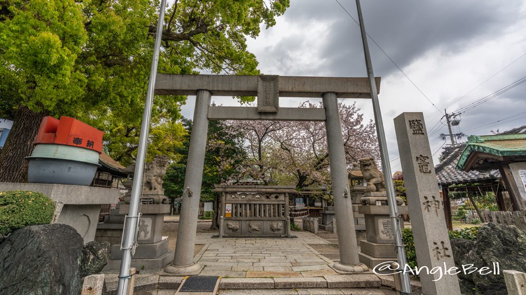 名古屋市中川区 鹽竈神社 2019